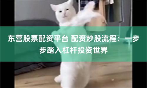 东营股票配资平台 配资炒股流程：一步步踏入杠杆投资世界