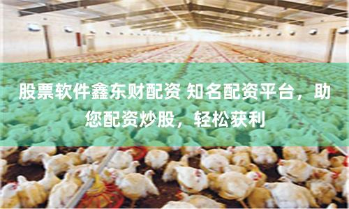 股票软件鑫东财配资 知名配资平台，助您配资炒股，轻松获利