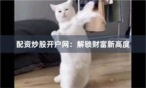 配资炒股开户网：解锁财富新高度