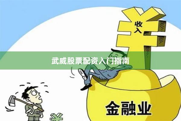 武威股票配资入门指南